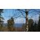 2016-04-29 Vesijärvi