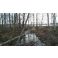 2018-11-17-23-00 Kirkkojärvi