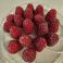 HVD26941 Raspberry