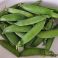 HHR27260 Pea