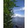 2025-06-03 Viikinsaari