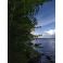 2025-06-03 Viikinsaari