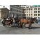 2006-09-20-13-02 Berlin