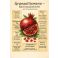 Granaattiomenan ravintoaineet