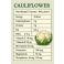 Nutritional Content