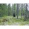 2000-08-28 Ihmisen paras ystävä
