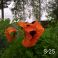 2025-06-18 Silkkiunikko