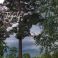 Ingolf