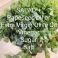 Salad + salad dressing