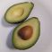 Avokado