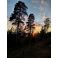 2025-10-03 Asikkala