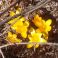 2013-05-01-14-14