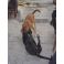 2009-11-05-17-43 Ateena