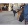 2009-11-05-17-44 Ateena