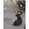 2009-11-05-17-45 Ateena